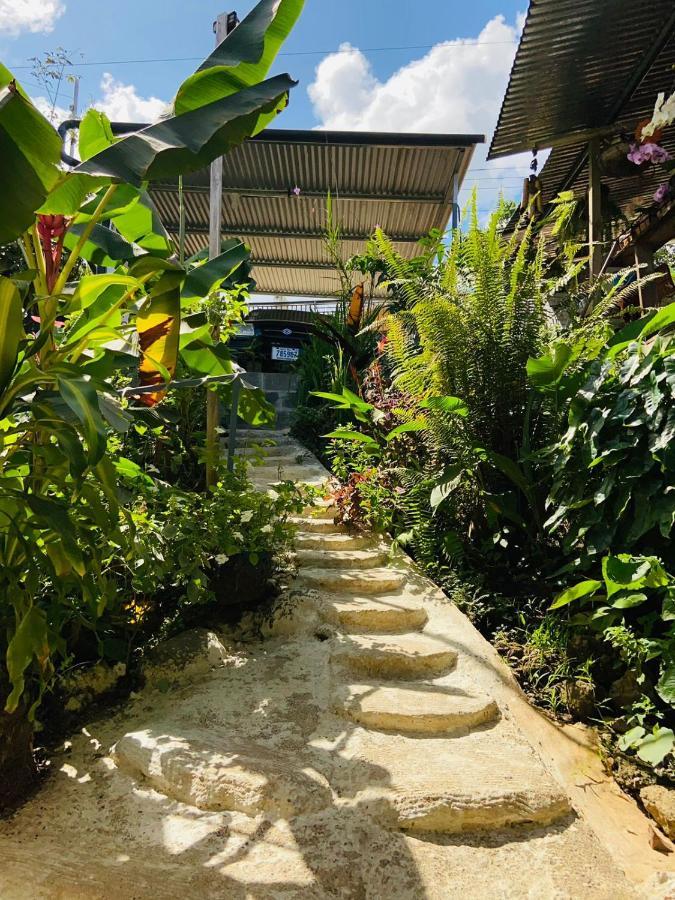 Drakes BayCasita Tangara Con Balcon Y Agua Caliente公寓 外观 照片